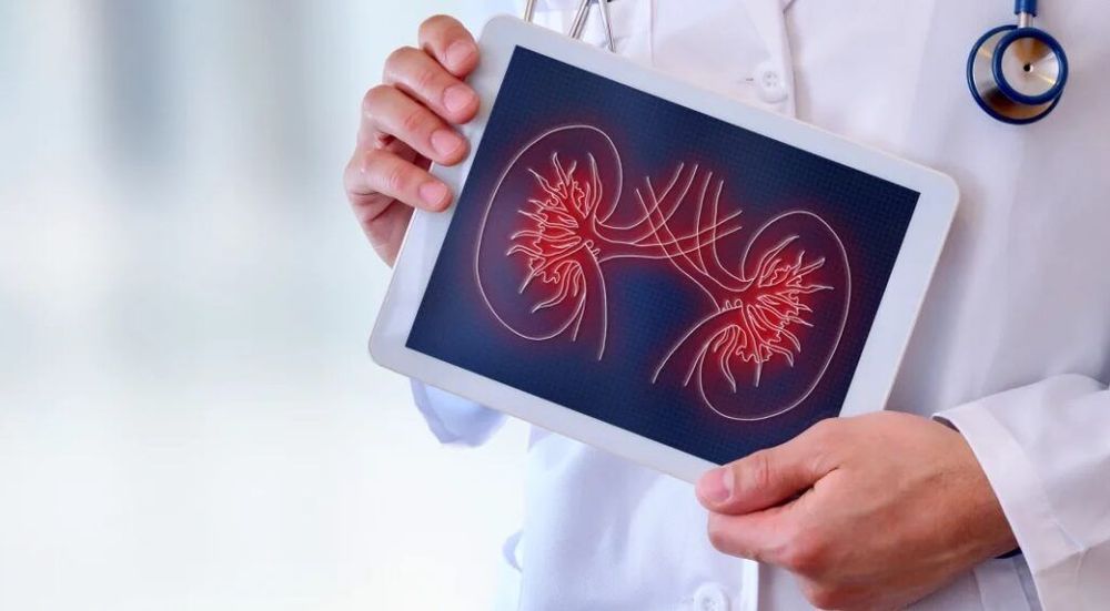Dialysis Cost With and Without Insurance in 2024 Mira Health
